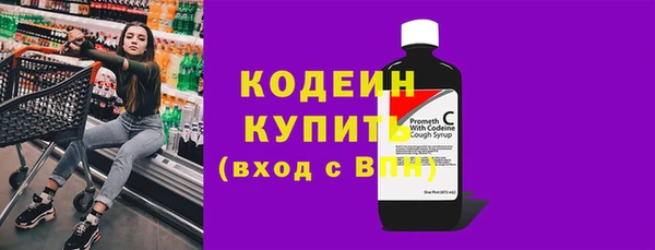 молекула духа Коряжма