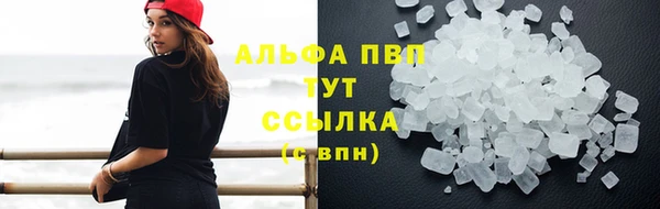 эйфоретик Корсаков