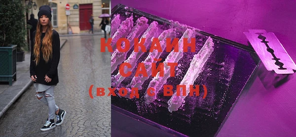 молекула духа Коряжма